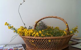 El Salat, Alojamientos Rurales